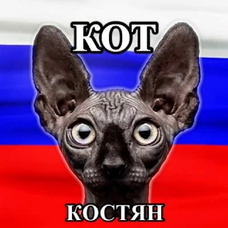 Кот Костян – официальный канал🇷🇺