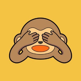 Wise Monkey Announcements