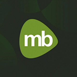 Magnet Brains Official ✔