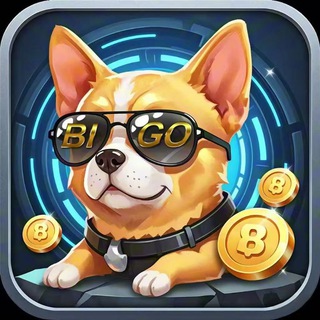 BIGO大金狗