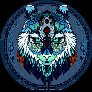 Zoomer HD