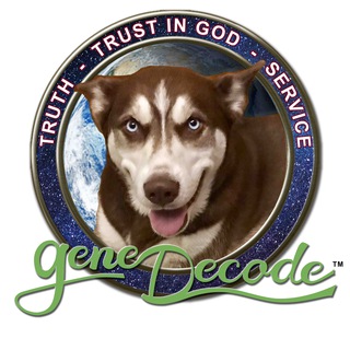 Gene Decode™ CoSensei [Backup]