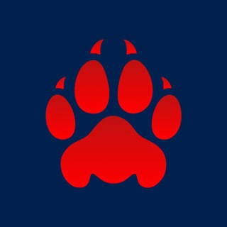 Красная |Z| рысь