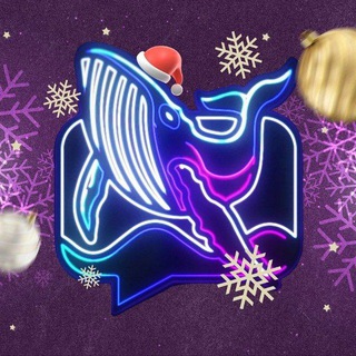 Whale Coin Talk ✔