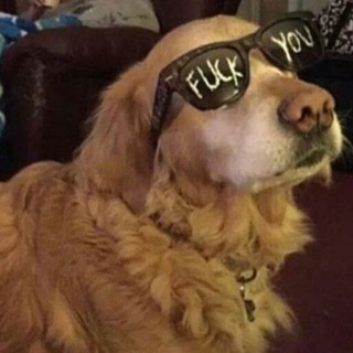 LOUIE