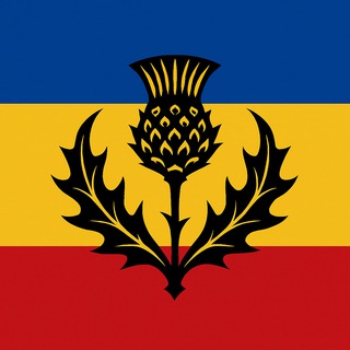 Представительство Донского Республиканского Движения в Европе (DRM Europe)