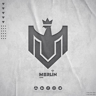 Merlin ViP