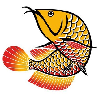 Arowana-SG
