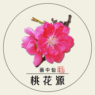 桃花源/礼品卡代充、游戏代购、谷歌充值/vpn/软件/短信