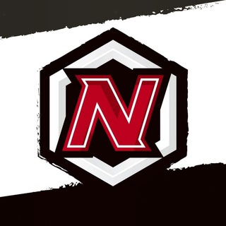 NAIF433 شروحات