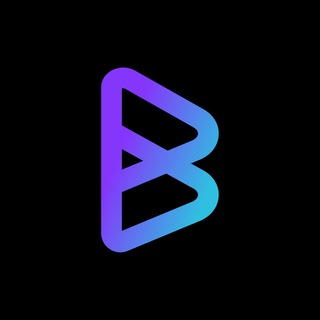 Bitgert (BRISE) – Official Group