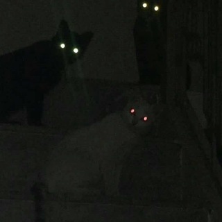 Dark Area