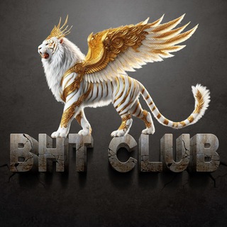 BHT TIGER TEAM AURELIA