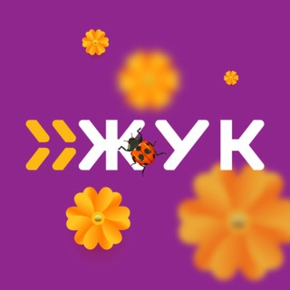 ЖУК