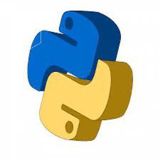 Python Team