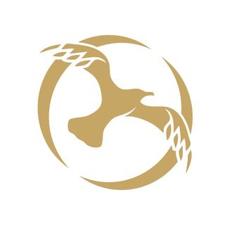 ЛПР: Санкт-Петербург