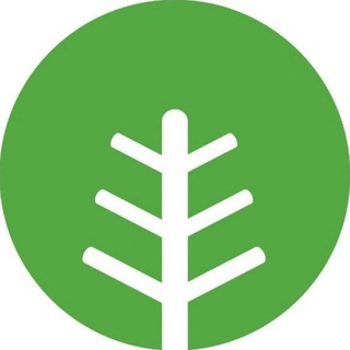 树洞频道