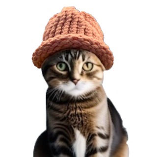 catwifhat $CWIF on solana ✔