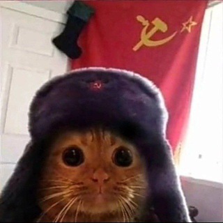 Данил