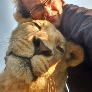 Living_with_lions