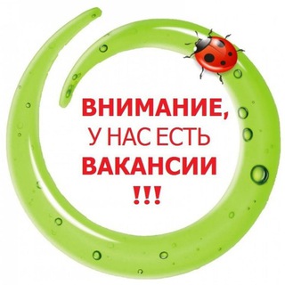 Внимание! Работа Подработка Реклама Чат Халтура Спб Жумуш Москва Общепит