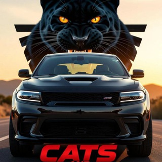 🦅🐈‍⬛️
