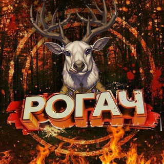 Рогач 3.0