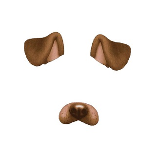 VIRAL DOG!!!