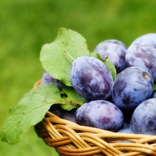курсы яндекс практикум