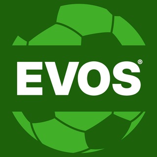 EVOS Доставка ✔