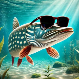 Щука VPN 🐟