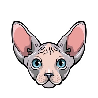 SHAVEYOURPUSSY BSC