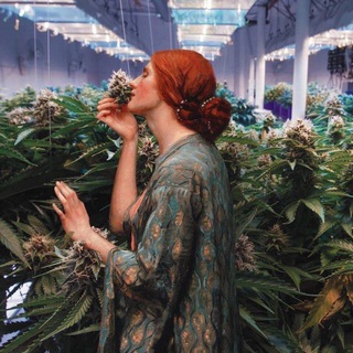 Вписки СПБ