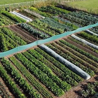 Living Soil Gardening