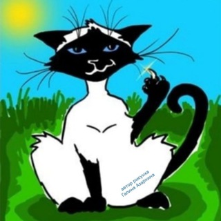 Купить тайского котёнка