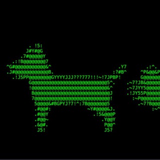 $DOGFART Portal