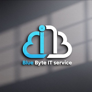 Blue Byte IT Services