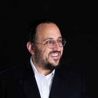 LIPA SCHMELTZER ✔