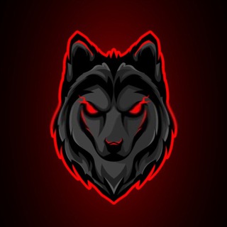 9WOLF STORE BOT