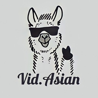 VID.ASIAN