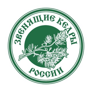 Кедровые Рецепты и Подарки от Звенящих кедров