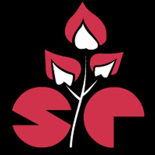 Sweet Pea Art Studio