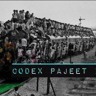 Codex Pajeet II (2024) 🔞