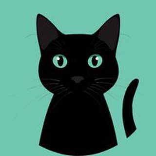 Nacho the Kat