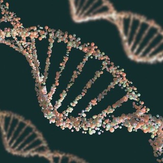 Genetics and Molecular Biology