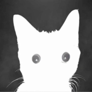 The flash cat - Portal