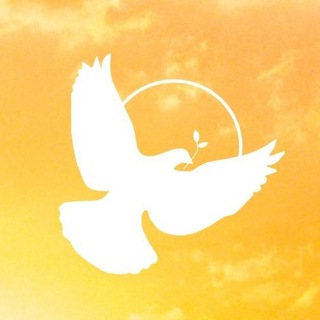 Dawn of Peace