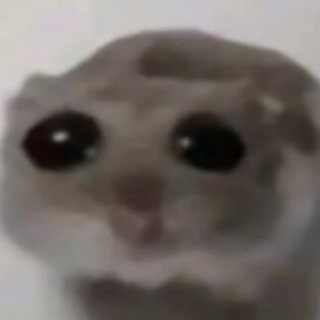 Слив @homakfull