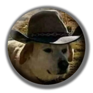 HOWDY | Verify