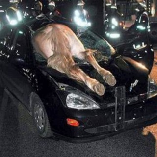 Accidentes tragicos
